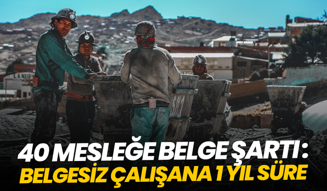 40 mesleğe belge şartı: Belgesiz çalışana süre verildi