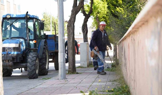 Yunusemre'de yaz mesaisi başladı
