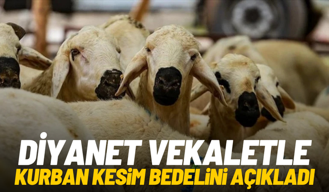Diyanet, vekaletle kurban kesim bedelini açıkladı