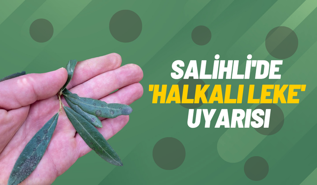Salihli'de 'Halkalı leke' uyarısı