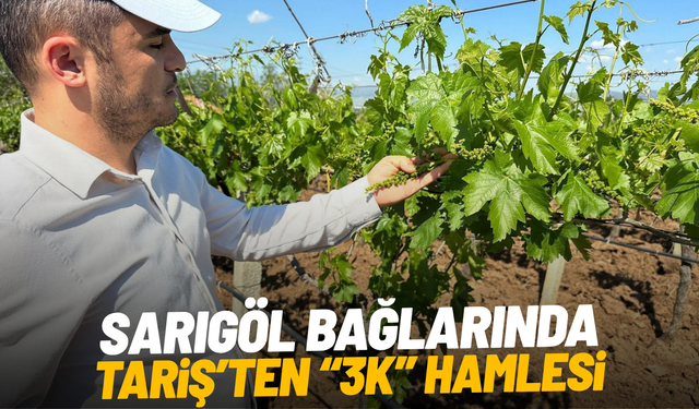 Sarıgöl bağlarında 3K hamlesi