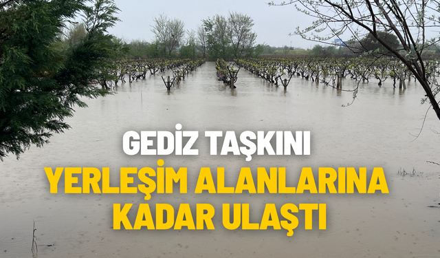 Gediz taşkını yerleşim alanlarına ulaştı