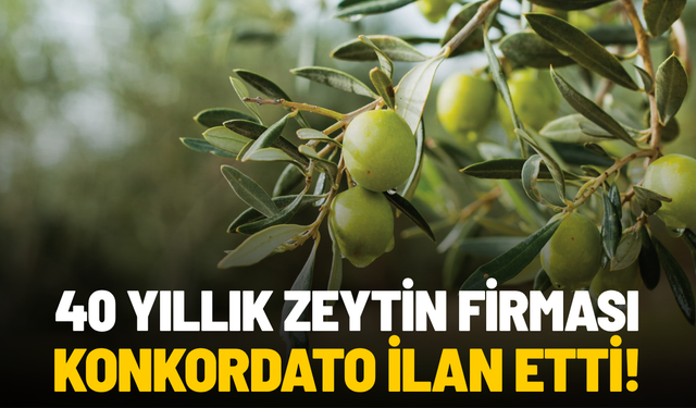 40 yıllık zeytin firması konkordato ilan etti