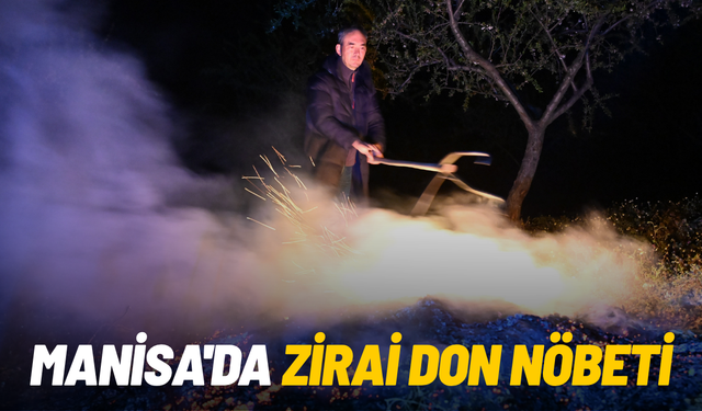 Manisa'da zirai don nöbeti