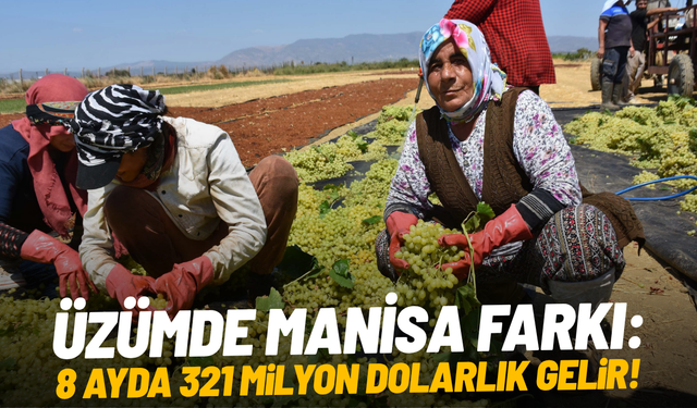 Üzümde Manisa farkı: 8 ayda 321 milyon dolarlık gelir