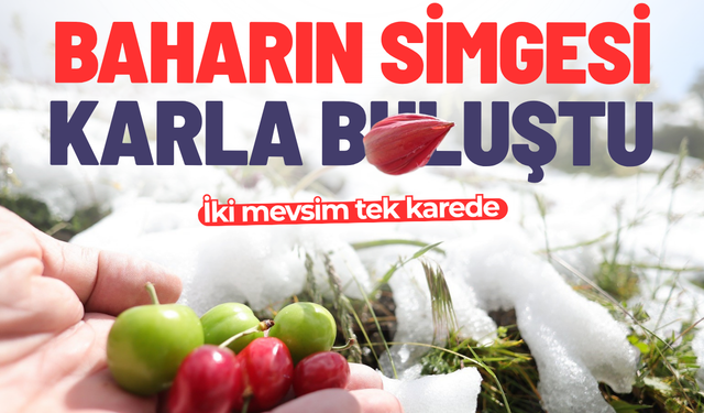 İki mevsim tek karede
