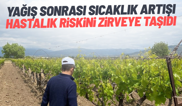 Yağış sonrası sıcaklık artışı hastalık riskini zirveye taşıdı