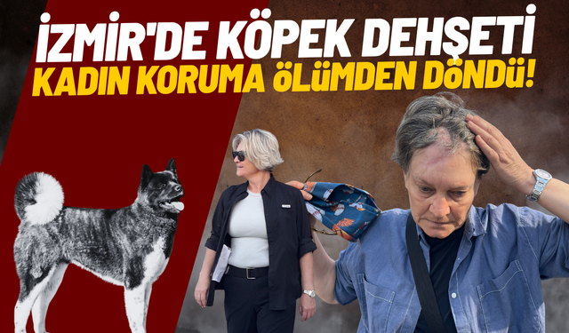İzmir'de köpek dehşeti: Kadın koruma ölümden döndü!