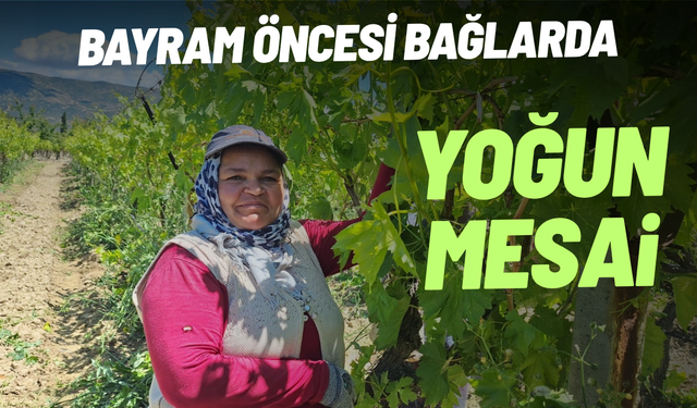 Bayram öncesi bağlarda yoğun mesai