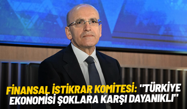 Finansal İstikrar Komitesi: "Türkiye ekonomisi şoklara karşı dayanıklı"