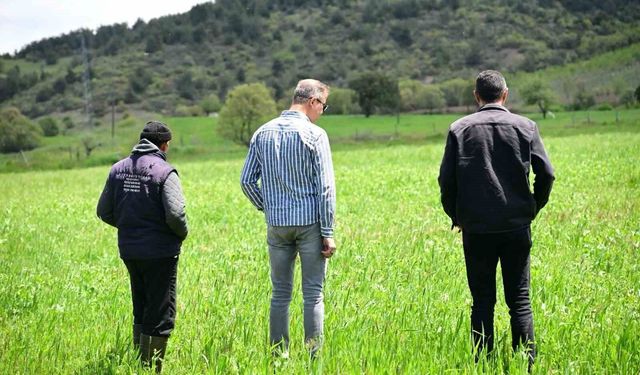 Manisa Büyükşehir'in toprakla buluşan tohumları yeşerdi