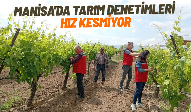 Manisa'da tarım denetimleri hız kesmiyor