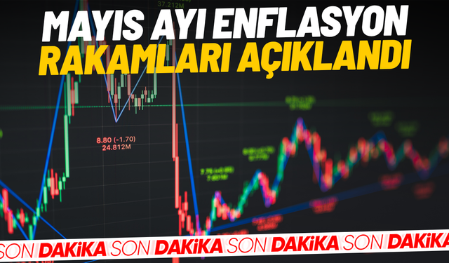 Mayıs ayı enflasyon rakamları açıklandı