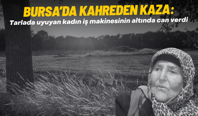 Tarlada uyuyan kadın iş makinesinin altında can verdi
