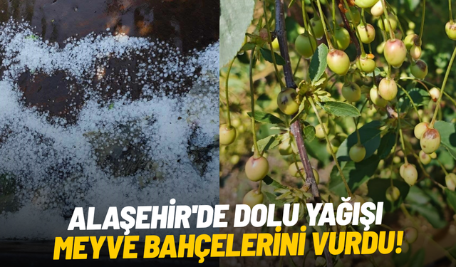 Alaşehir'de dolu yağışı etkili oldu