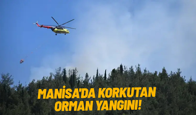 Manisa'da korkutan orman yangını!