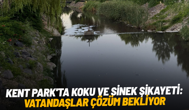 Kent Park'ta koku ve sinek şikayeti: Vatandaşlar çözüm bekliyor