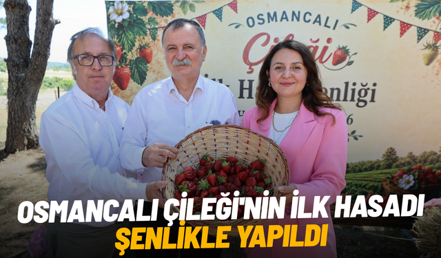 Osmancalı Çileği'nin ilk hasadı şenlikle yapıldı