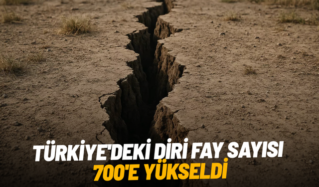 Türkiye'deki diri fay sayısı 700'e yükseldi