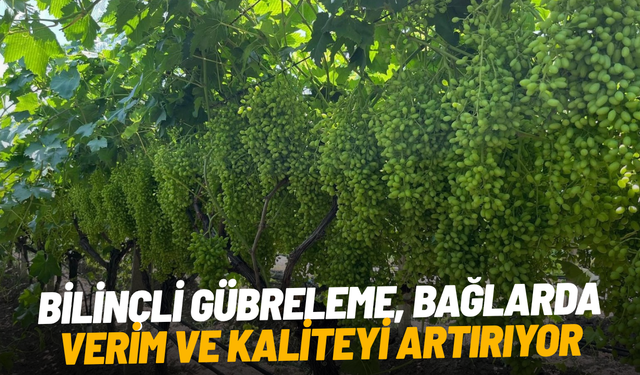 Bilinçli gübreleme, bağlarda verim ve kaliteyi artırıyor