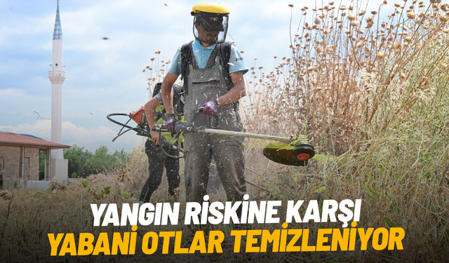 Manisa'da yangın riskine karşı yabani otlar temizleniyor