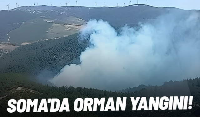 Soma'da orman yangını!