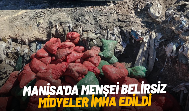 Manisa'da menşei belirsiz midyeler imha edildi