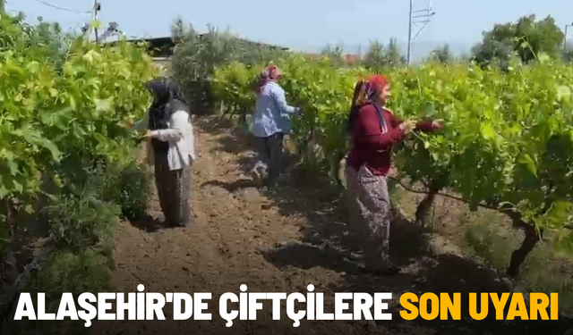 Alaşehir'de çiftçilere son uyarı