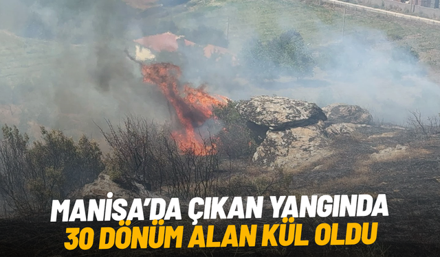 Makilik alanda çıkan yangında 30 dönüm alan kül oldu