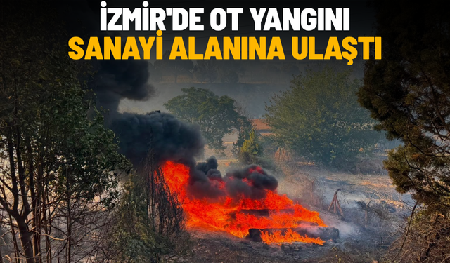 İzmir'de ot yangını sanayi alanına ulaştı