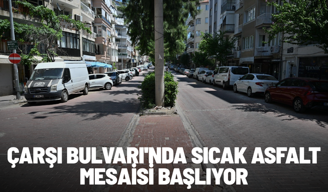 Çarşı Bulvarı'nda sıcak asfalt mesaisi başlıyor