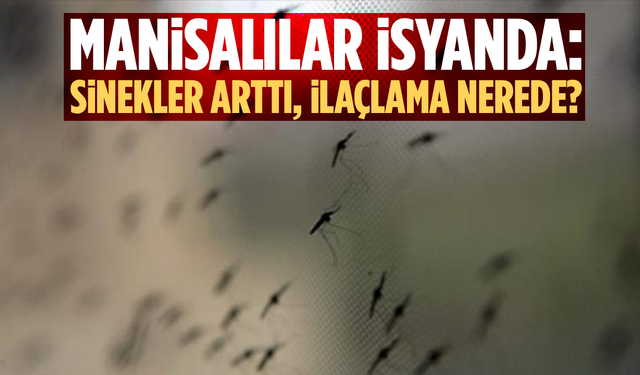 Manisalılar İsyanda: Sinekler Arttı, İlaçlama Nerede?
