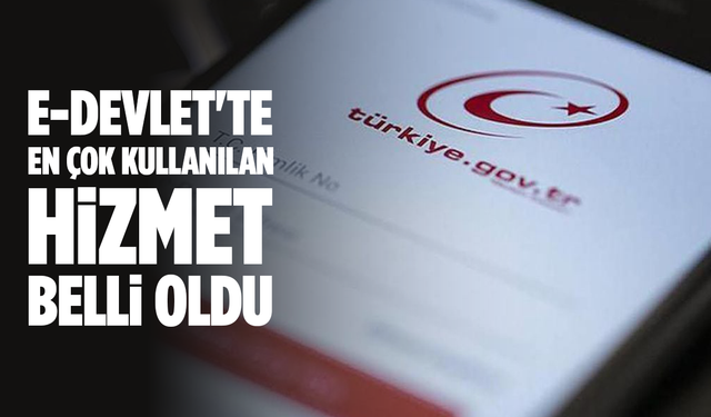 E-Devlet'te Zirve SGK'nın! 6 Ayda 758 Milyon Erişim