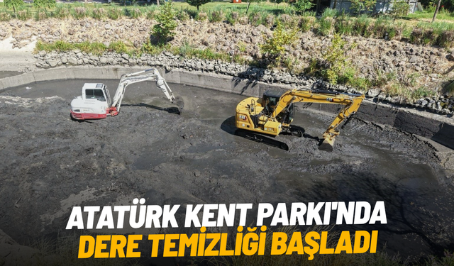 Atatürk Kent Parkı'nda dere temizliği başladı