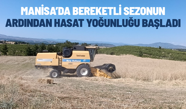 Hububat tarlalarında hasat mesaisi başladı