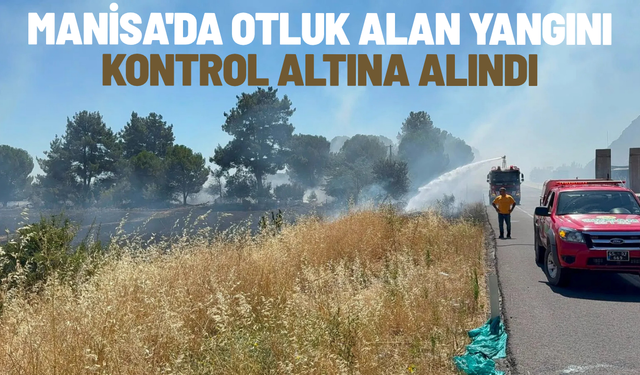 Manisa'da otluk alan yangını kontrol altına alındı