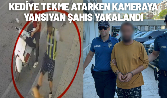 Kediye tekme atarken kameraya yansıyan şahıs yakalandı