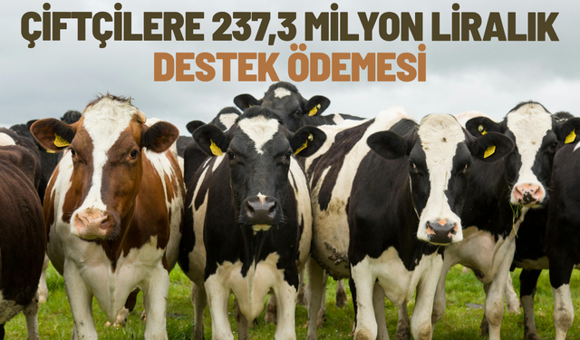 Çiftçilere 237,3 milyon liralık destek ödemesi
