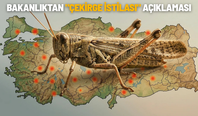Bakanlıktan "çekirge istilası" açıklaması