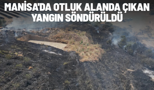 Manisa'da otluk alanda çıkan yangın söndürüldü