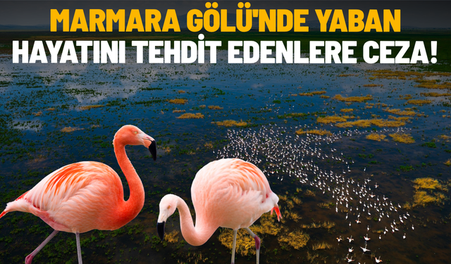 Marmara Gölü'nde Yaban Hayatını Tehdit Edenlere Ceza!