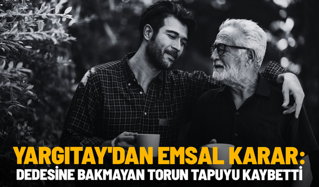Yargıtay'dan emsal karar: Dedesine bakmayan torun tapuyu kaybetti