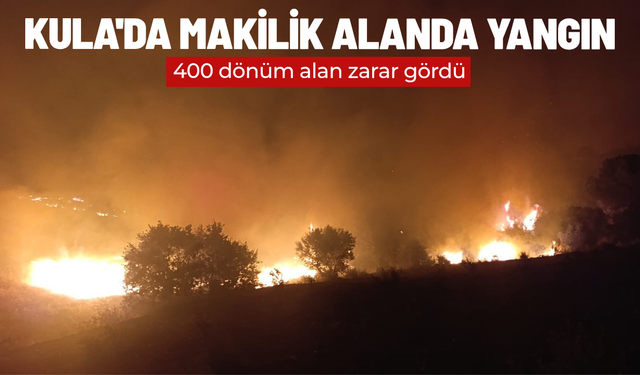 Kula'da makilik alanda yangın: 400 dönüm alan zarar gördü