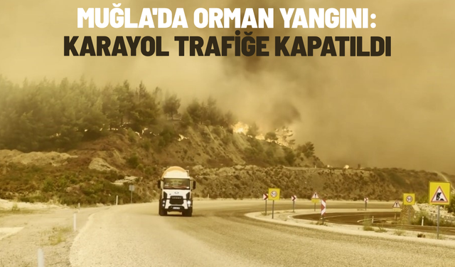 Muğla'da orman yangını: Karayol trafiğe kapatıldı