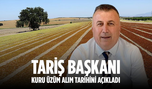 TARİŞ Üzüm Birliği kuru üzüm alım tarihini açıkladı