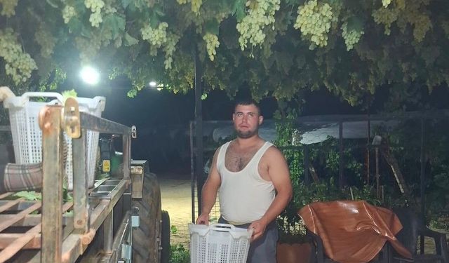 Sarıgöl'de üzüm için gece mesaisi