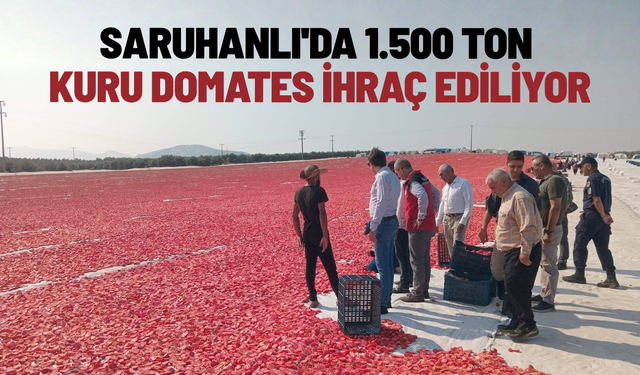 Saruhanlı'da 1.500 ton kuru domates ihraç ediliyor