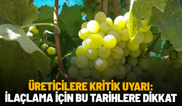 Üreticilere kritik uyarı: İlaçlama için bu tarihlere dikkat
