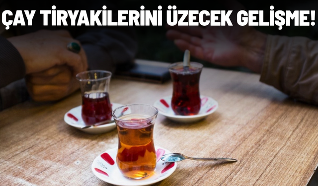 ÇAYKUR kuru çay fiyatlarına yüzde 10 zam yaptı