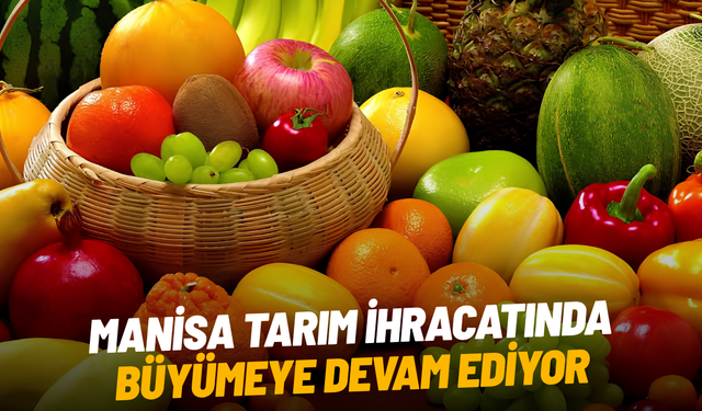 Manisa’nın tarımsal ihracatı 7 ayda 573,6 milyon dolara ulaştı
